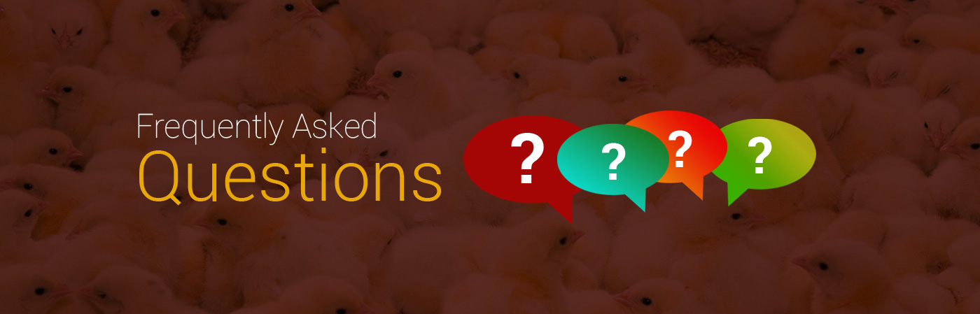 Faqs